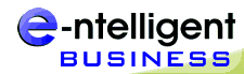 e-ntelligent business